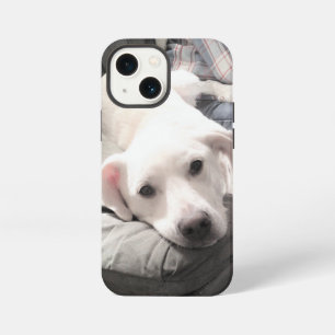 Photo of Cute White Dog Hanging Out with Dad iPhone 13 Mini Case