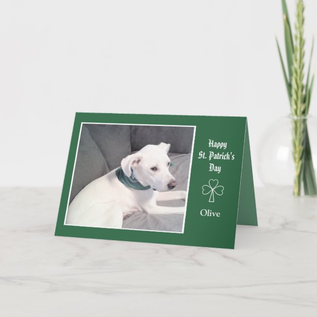 Photo of Cute White Dog Shamrocks and Clovers Card (Front)