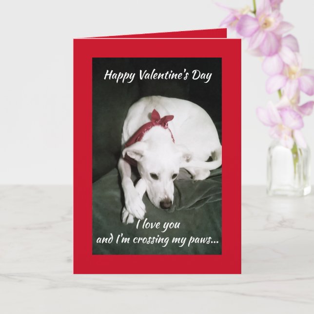 Photo of Cute White Dog Valentine's Day Funny Card (Orchid)