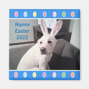 Photo of Cute White Dog Wearing Easter Bunny Ears Magnet