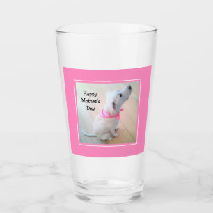 Photo of Cute White Dog Wearing Pink Scarf Glass