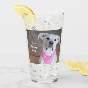 Photo of Cute White Dog Wearing Pink Scarf Glass