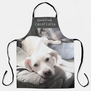 Photo of Cute White Dog With Dad Good Cook Funny Apron
