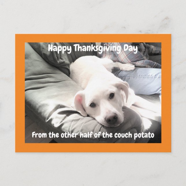 Photo of Cute White Dog With Dad Thanksgiving Postcard (Front)