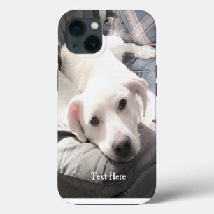 Photo of Cute White Labrador Retriever Mix Dog iPhone 13 Case