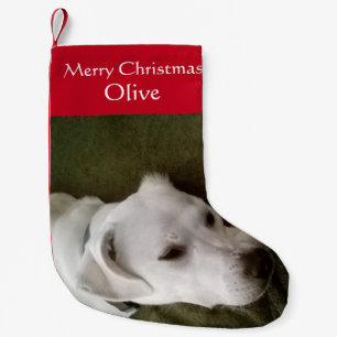 Photo of Cute White Puppy Dog Adorable Small Christmas Stocking