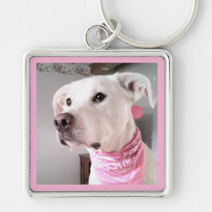 Photo of Cute White Puppy Dog Wearing Pink Scarf Key Ring