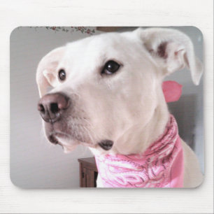 Photo of Cute White Puppy Dog Wearing Pink Scarf Mouse Pad