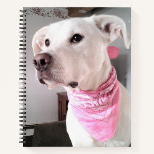 Photo of Cute White Puppy Dog Wearing Pink Scarf Notebook