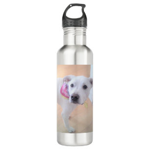 Photo of Cute White Puppy Dog With Sweet Face 710 Ml Water Bottle
