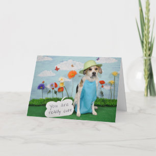 Photo of dog in clothes, "cute" theme for anyone. card