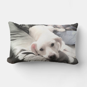 Photo of Dog Sitting Next to Best Friend Blue Lumbar Cushion