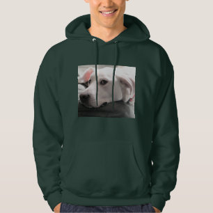 Photo of Dog with a Great Face Hoodie