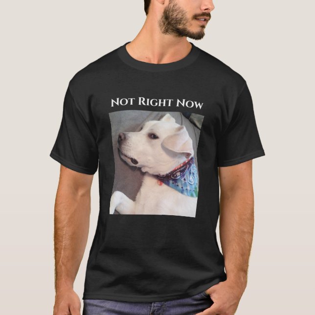 Photo of Funny Lazy Dog Wearing Scarf T-Shirt (Front)