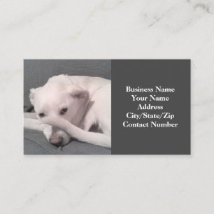 Photo of Funny White Dog with Tail on Face Grey Business Card