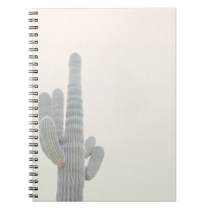 PHOTO OF GRAY CACTUS PLANT NOTEBOOK