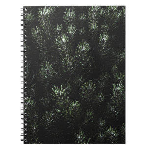 Photo of green fir plant notebook