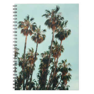 Photo of green palm trees notebook