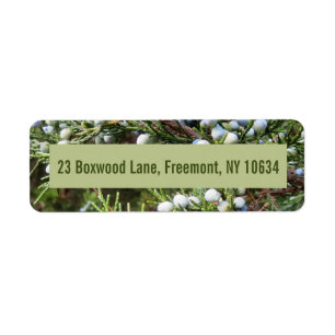 Photo of juniper bush with return address return address label