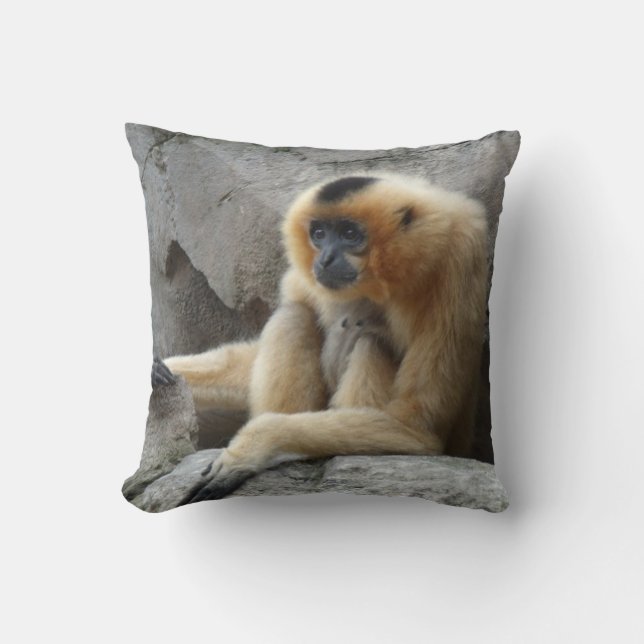 Photo of Orange and Black Gibbon Relaxing on Cliff Cushion (Front)