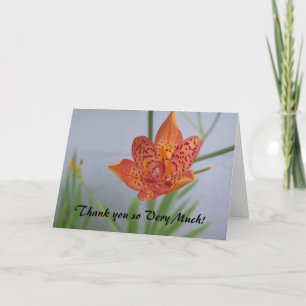 photo of orange Blackberry Lily with red spots on Card