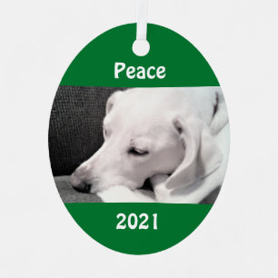 Photo of Peaceful Cute White Dog Sleeping Green Metal Tree Decoration