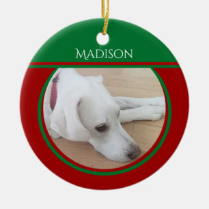 Photo of Peaceful White Dog Wearing Red Collar Ceramic Ornament