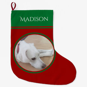 Photo of Peaceful White Dog Wearing Red Collar Large Christmas Stocking