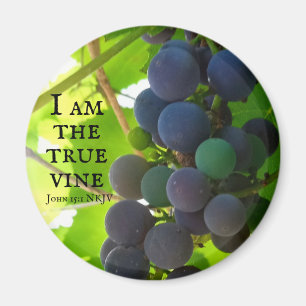 Photo of Purple Grapes Gospel of John Bible Verse Magnet