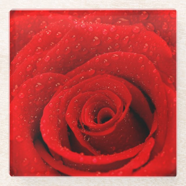 Photo of Red Rose Background Glass Coaster (Front)