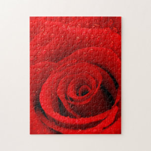 Photo of Red Rose Background Jigsaw Puzzle