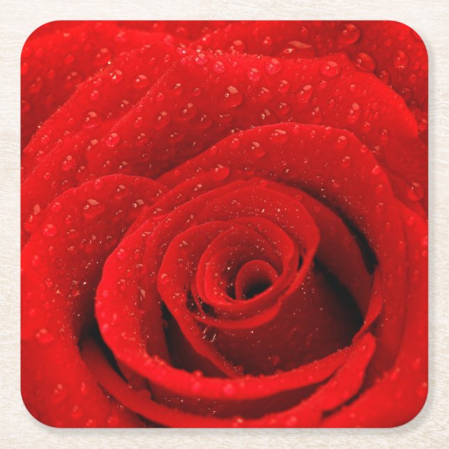 Photo of Red Rose Background Square Paper Coaster (Front)