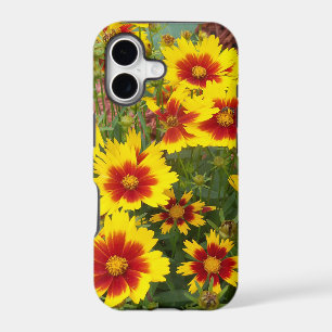 Photo of red & yellow Coreopsis Flowers on an