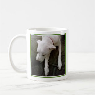 Photo of Sleeping Dog Get Well Green and White Coffee Mug