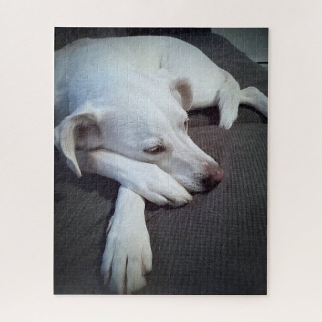 Photo of Sleeping White Dog with Cute Paws Jigsaw Puzzle (Vertical)