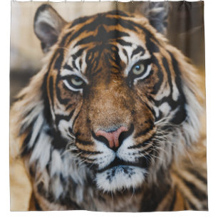 PHOTO OF TIGER'S FACE SHOWER CURTAIN
