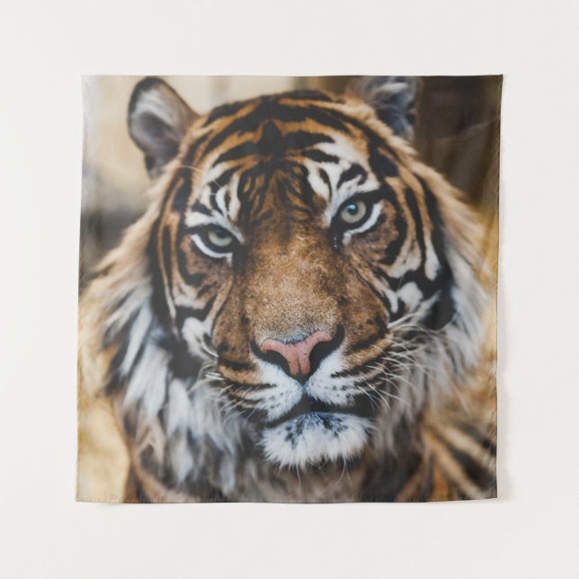 PHOTO OF TIGER'S FACE TAPESTRY (Front)