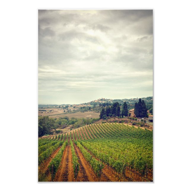 Photo of Tuscany vineyard with gloomy sky Print (Front)
