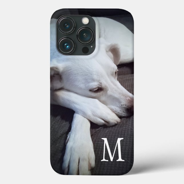 Photo of White Dog with Cute Paws Single Initial Case-Mate iPhone Case (Back)