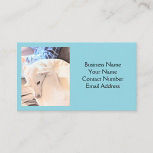 Photo of White Dog with Dad Pet Sitter Light Blue Business Card