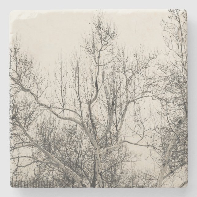 Photo of Winter Fog in Central Park NYC Stone Coaster (Front)