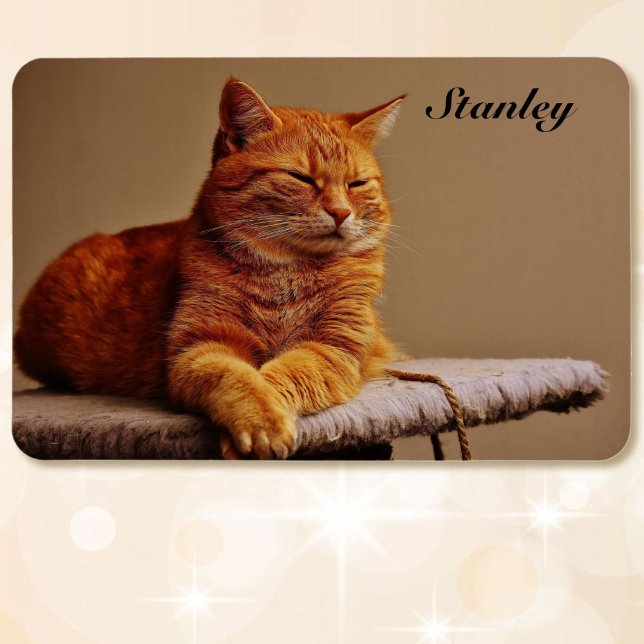 Photo of Your Pet Template Add Name 4 x 6 Magnet (Creator Uploaded)