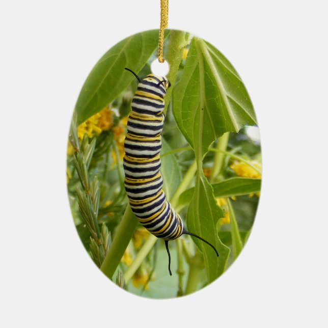 Photo Ornament (Front)