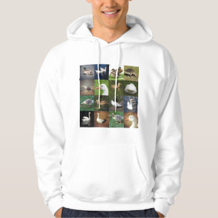 Photo Patchwork Square - Birds Hoodie