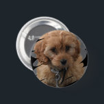 Photo Personalised 6 Cm Round Badge<br><div class="desc">Create a Custom unique customised personalised Photo button from Ricaso - with a scribble frame that will show your photo or even your own artwork off in a trendy way</div>