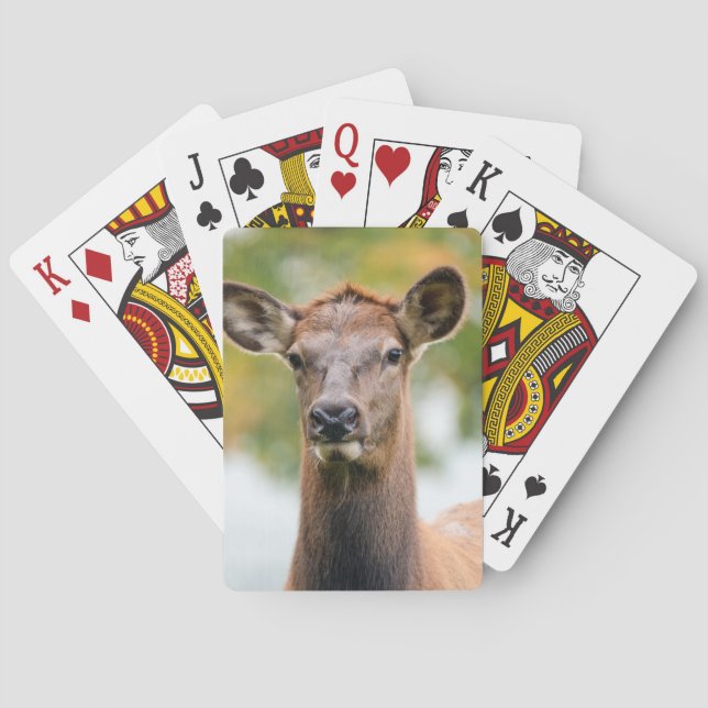 Photo Personalised Custom Playing Cards (Back)