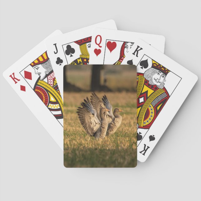 Photo Personalised Custom Playing Cards (Back)