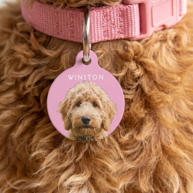 Photo Personalised Dogs Name - READ DESCRIPTION Pet Tag (Photo Personalized Dogs Name - READ DESCRIPTION Pet ID Tag by Ricaso. Remove the photos background)