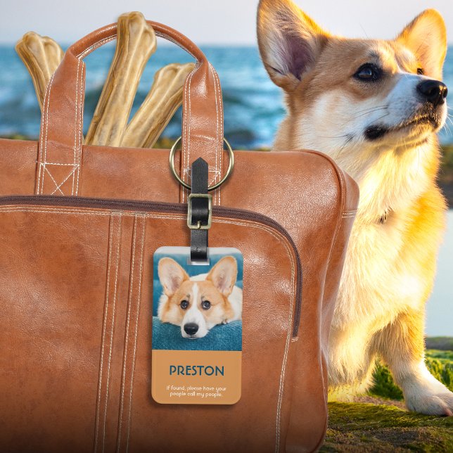 Photo Pet Carrier Tag (Creator Uploaded)