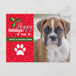 Photo Pet Christmas Postcards